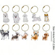 Pet Hair Memorial Keychain, Cat-Shaped Resin Storage Capsule For Cat And Dog Fur Keepsake with secure storage for fur, whiskers, or tiny mementos