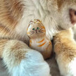 Pet Hair Memorial Keychain, Cat-Shaped Resin Storage Capsule For Cat And Dog Fur Keepsake attached to a key ring for everyday carrying