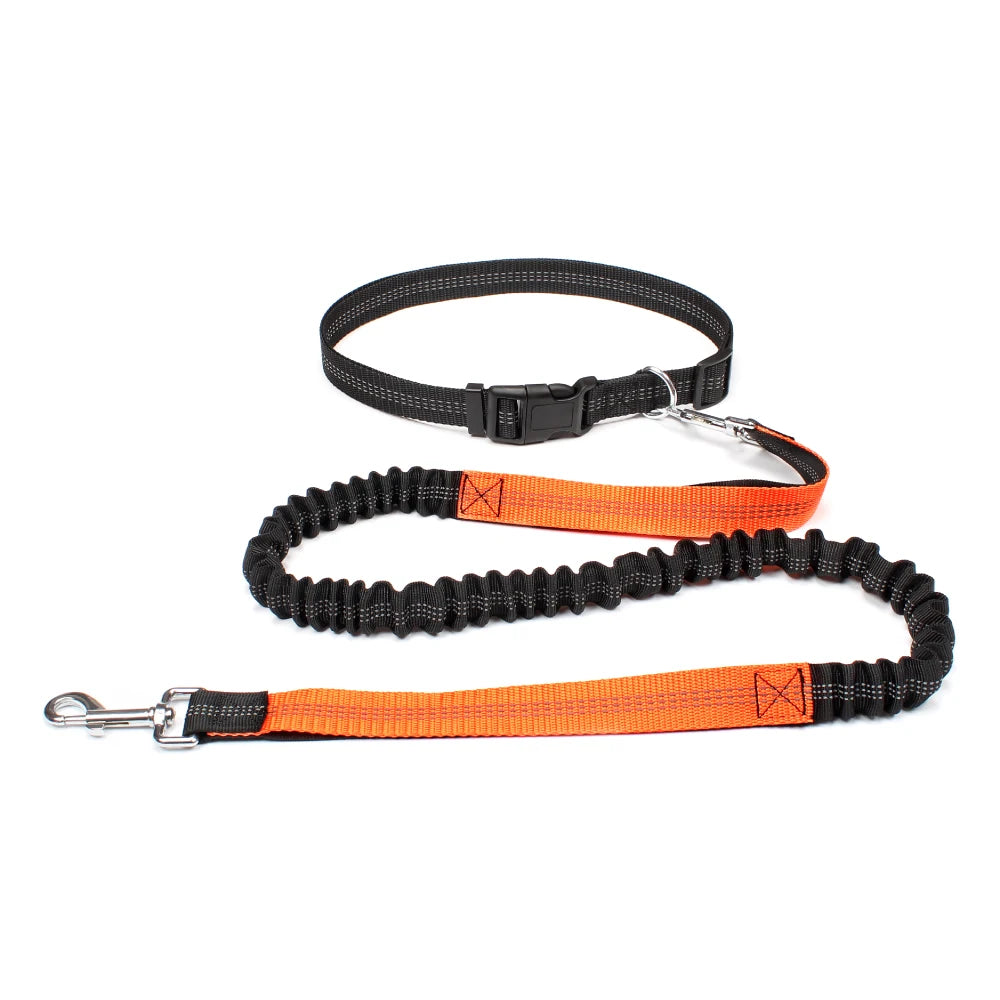 Hands-Free Dog Leash With Adjustable Waist Belt, Reflective Nylon For Walking & Running